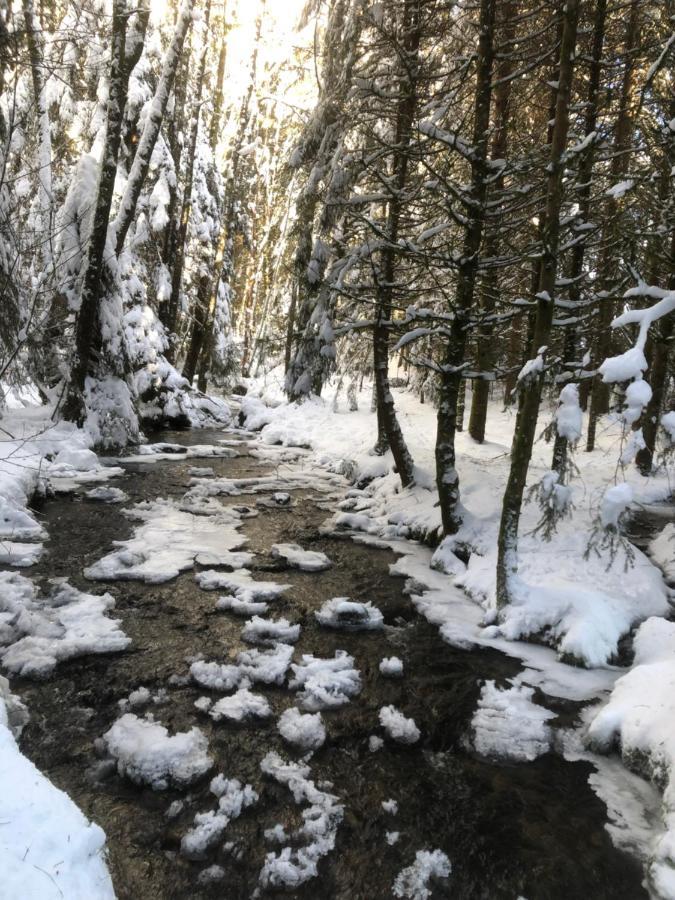Le Batelier Du Lac Gérardmer Eksteriør billede